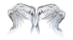 angel wings