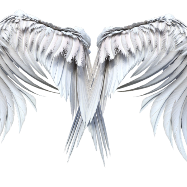 angel wings